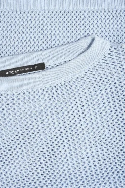 Expresso Truien | Knitwear^Trui BLEU