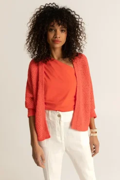 Expresso Vesten | Knitwear^Vest KORAAL