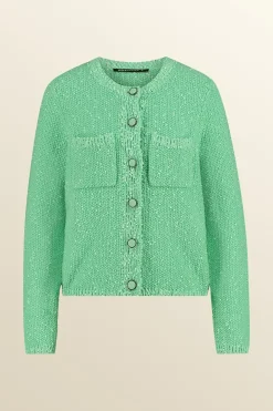 Expresso Vesten | Knitwear^Vest MINT