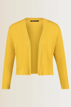 Expresso Vesten | Knitwear^Vest OKER
