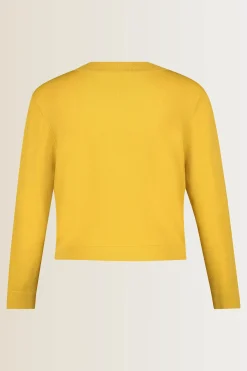 Expresso Vesten | Knitwear^Vest OKER